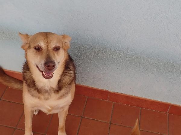 Gelbie tenera nonnina cerca casa  Foto 4